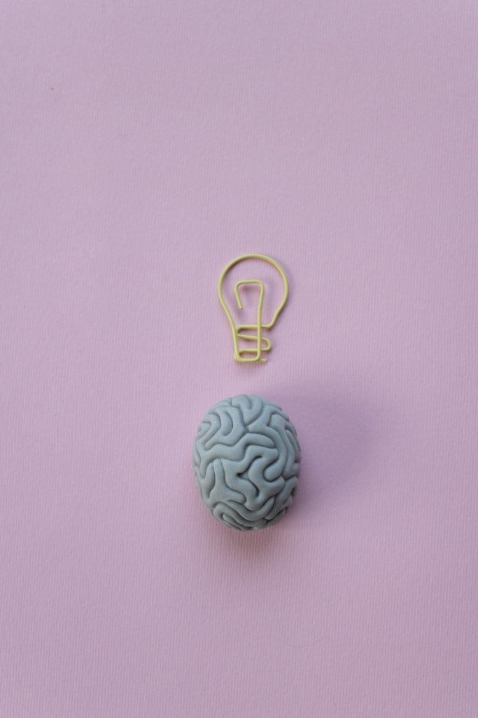 paperclip in the shape of a lightbulb and plastic model of brain
