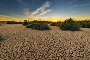 Drought - Can Pedialyte Really Cure Your Hangover