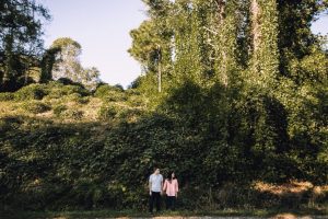 kudzu for alcohol