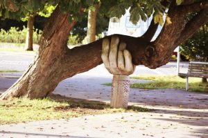 recovery coaching: hand supporting a tree