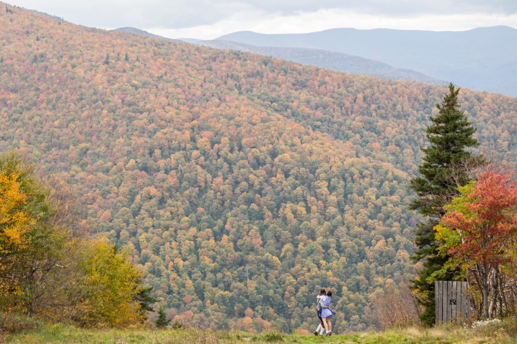 Sober October Fall landscape