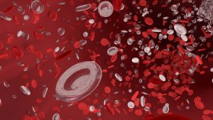 blood cells alcohol and your immune system