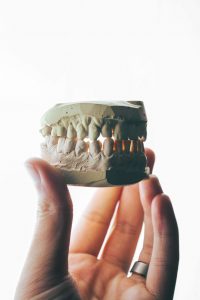 hand holding up a model of teeth