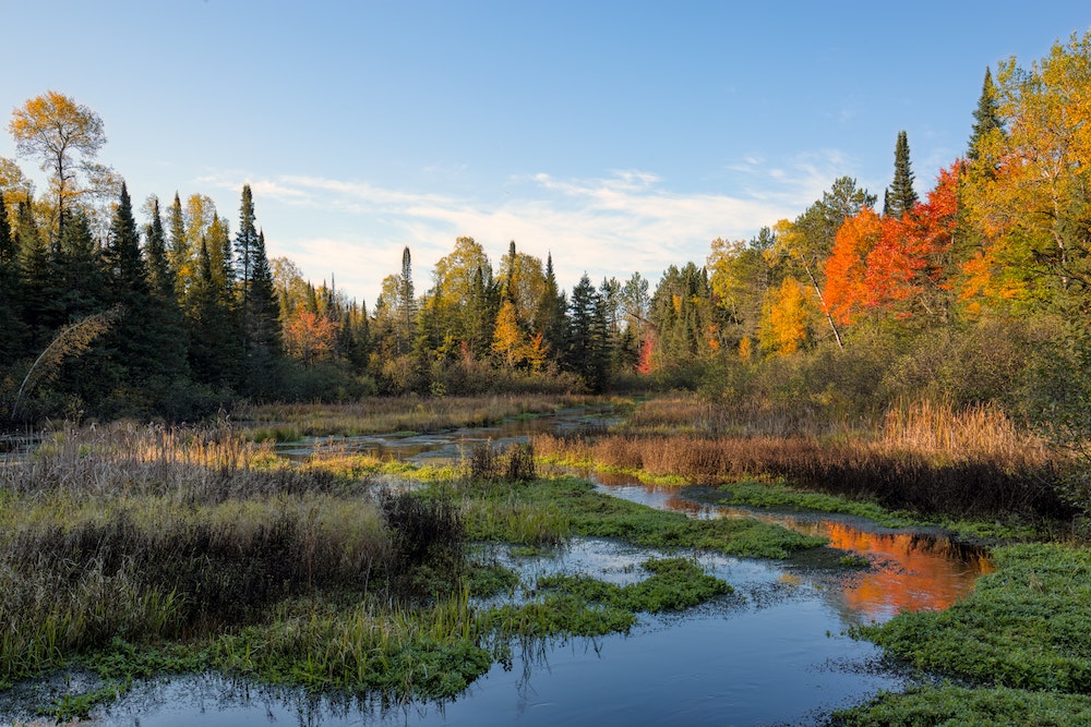 brule-wisconsin-trees-water-2021