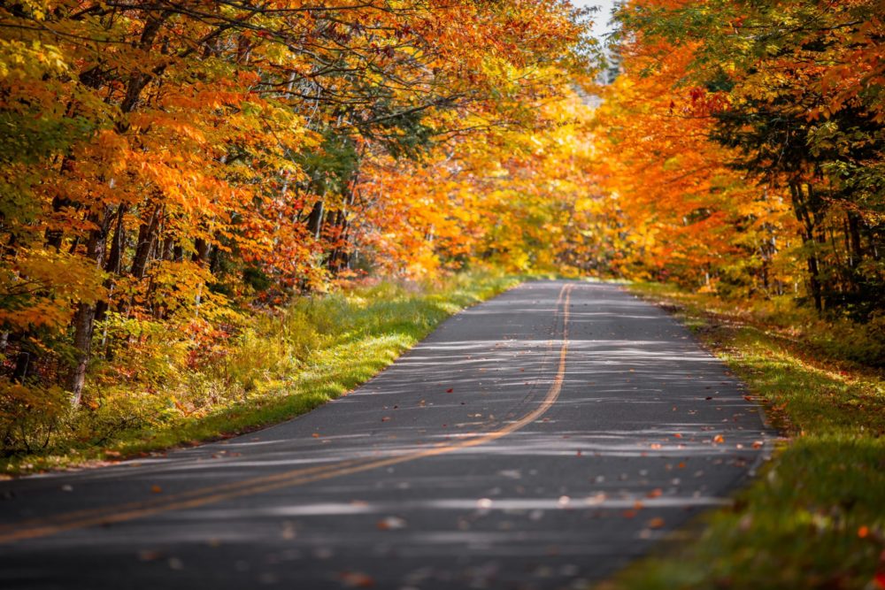 michigan-porcupine-mountains-2021