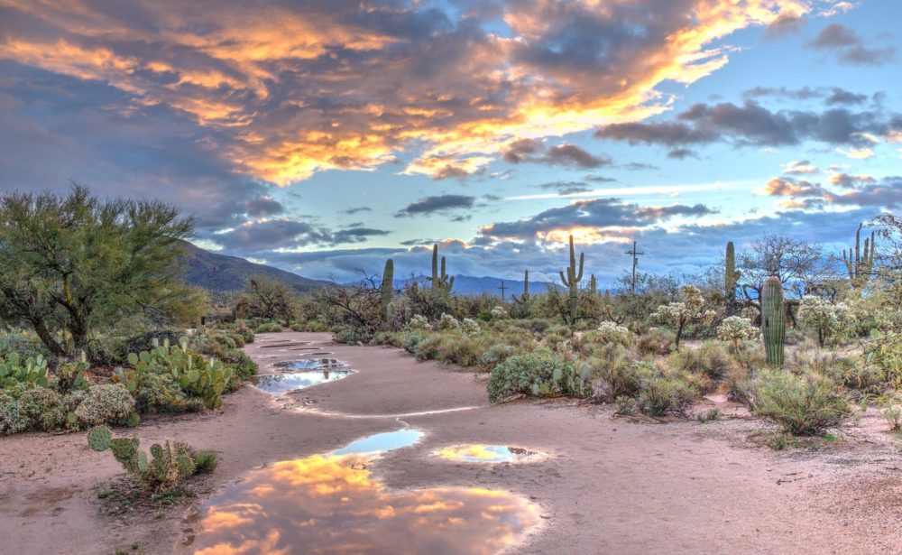 virtual alcohol care arizona