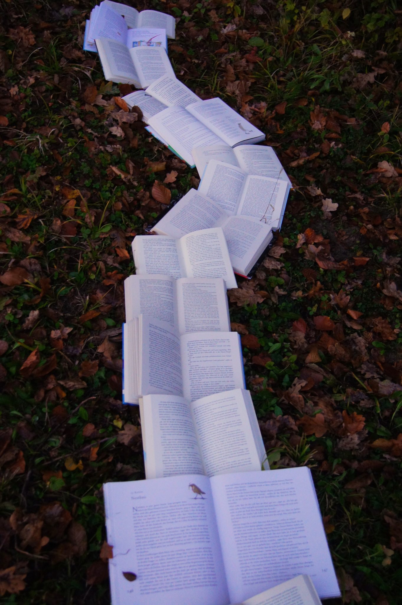 line of open books in the shape of a path