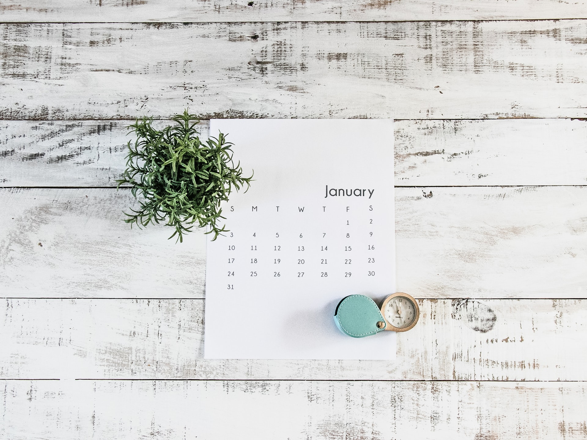 January calendar with watch and plant on table