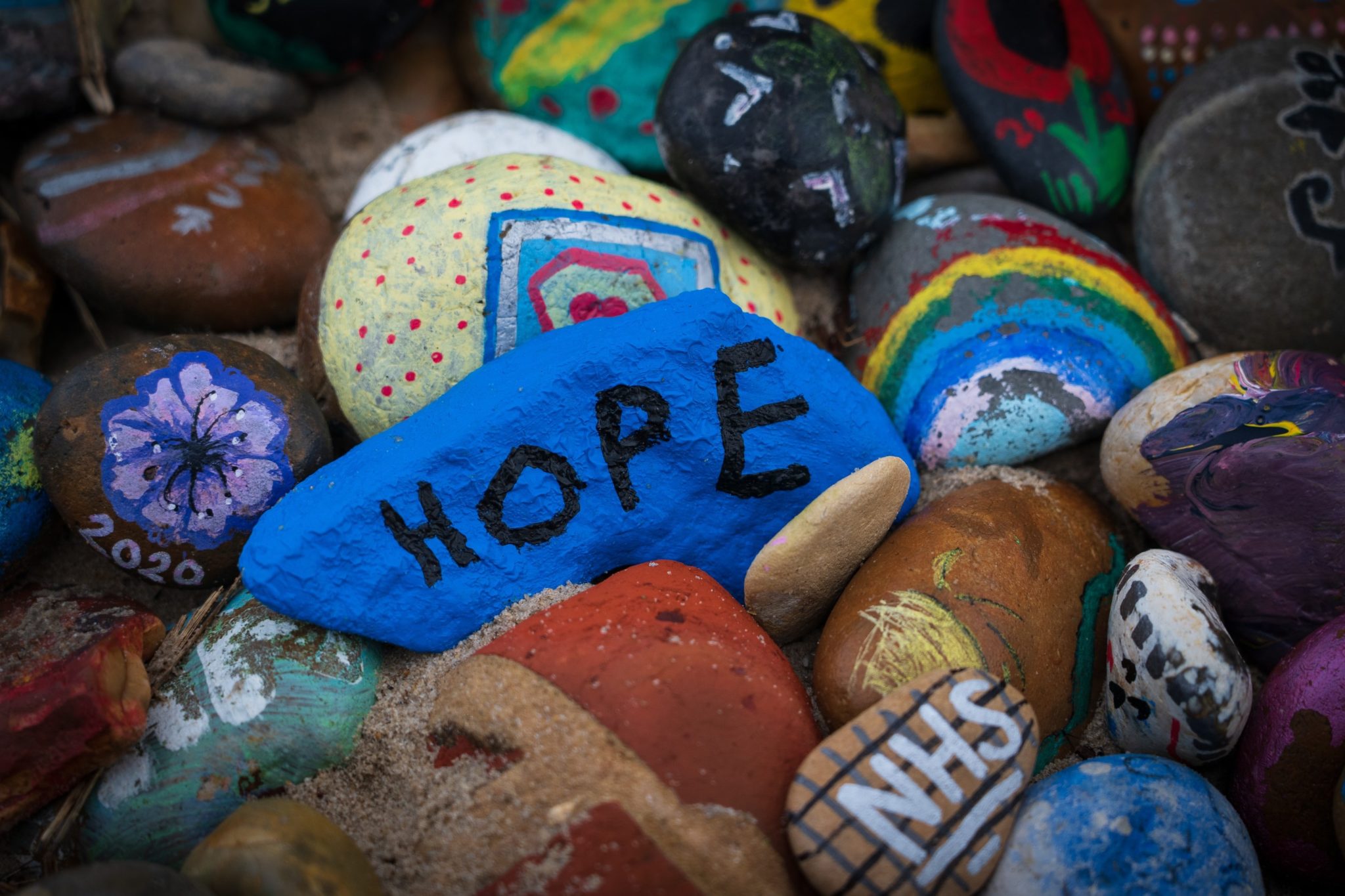 rocks painted with the word hope