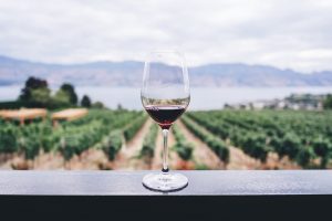 red wine glass on rail overlooking vineyard