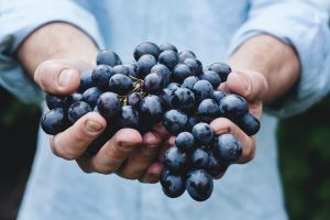 man holding a large bunch of grapes