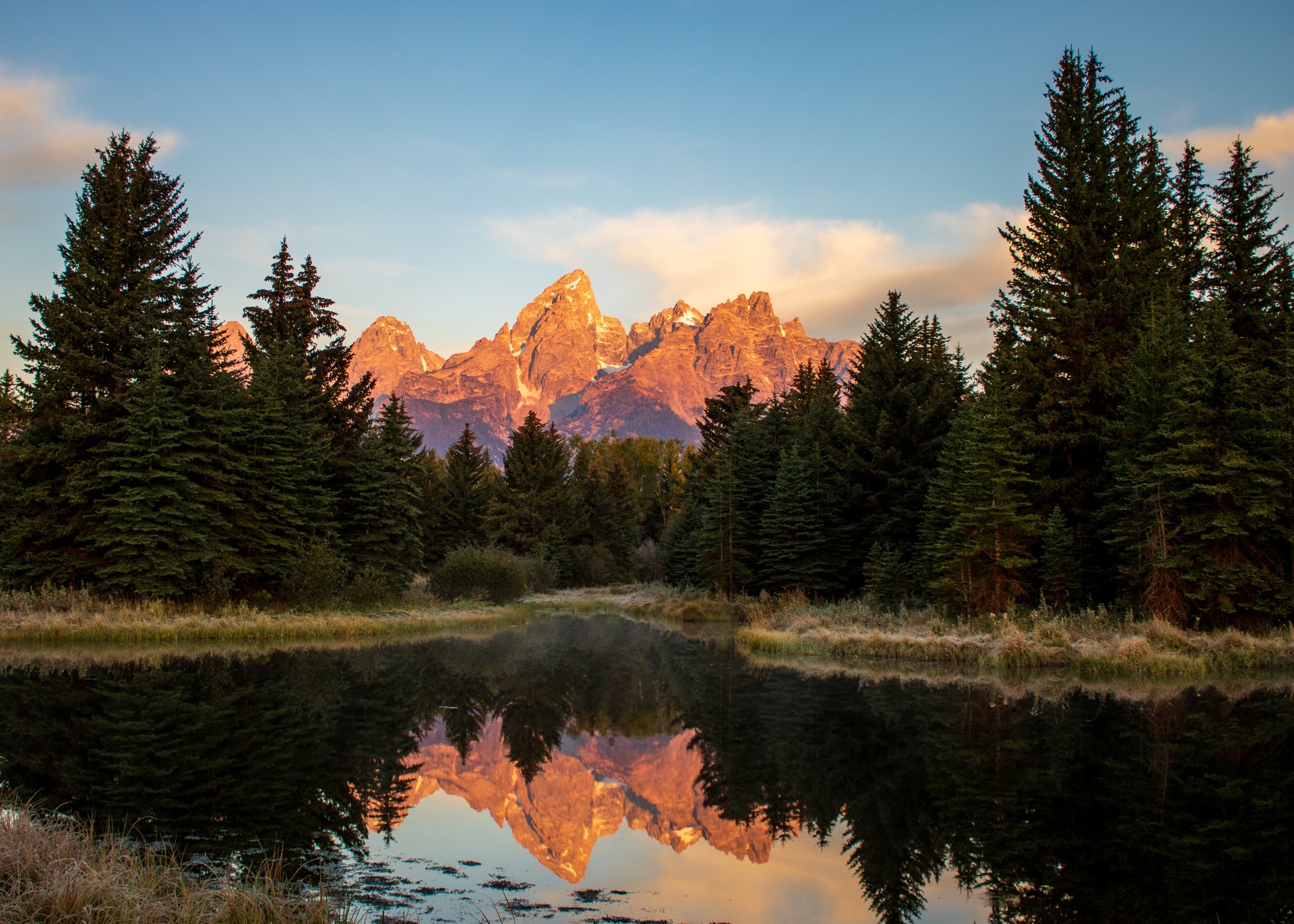 lake woods and mountain in wyoming