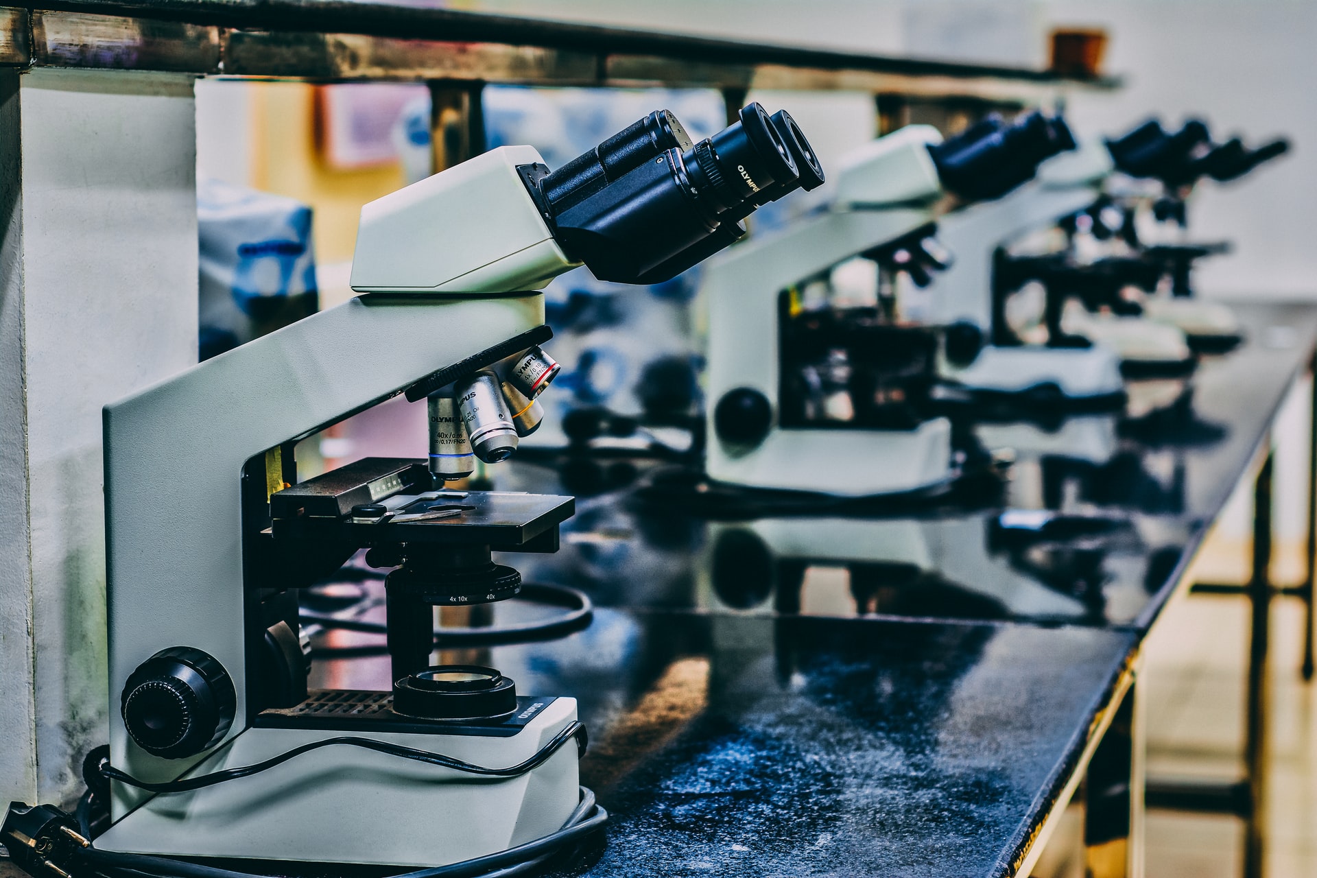 row of microscopes in research lab