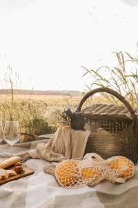 picnic on grassland with bottle of wine