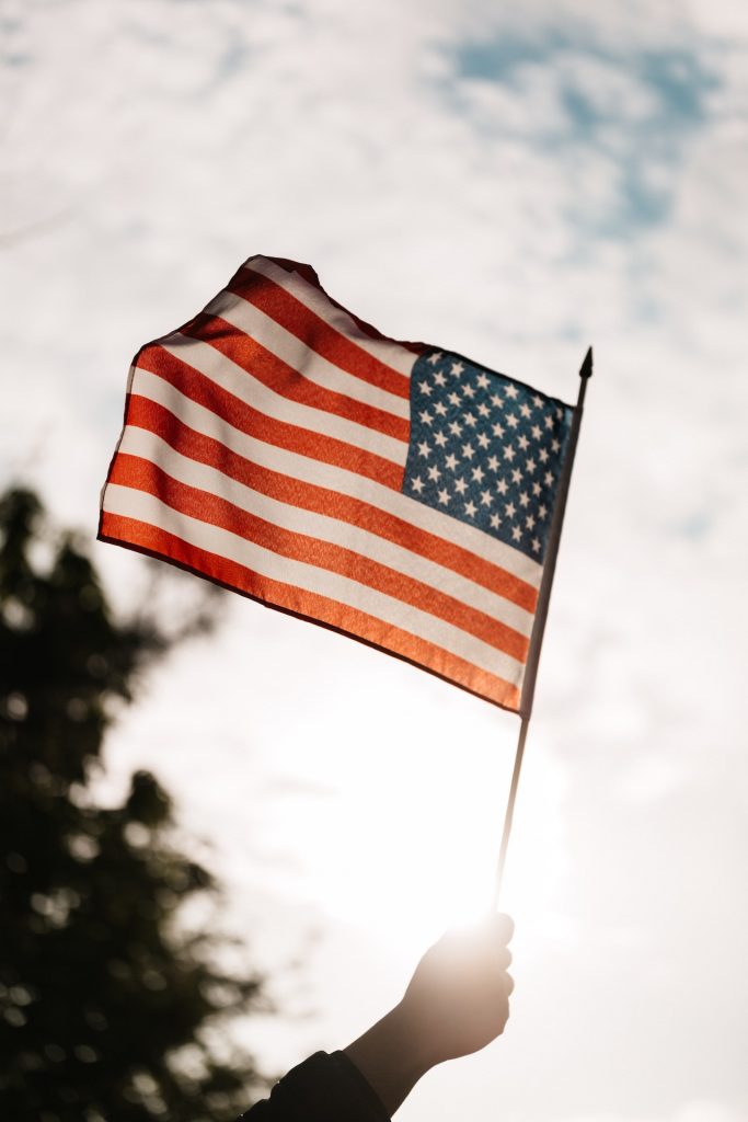 hand holding american flag against sky and trees