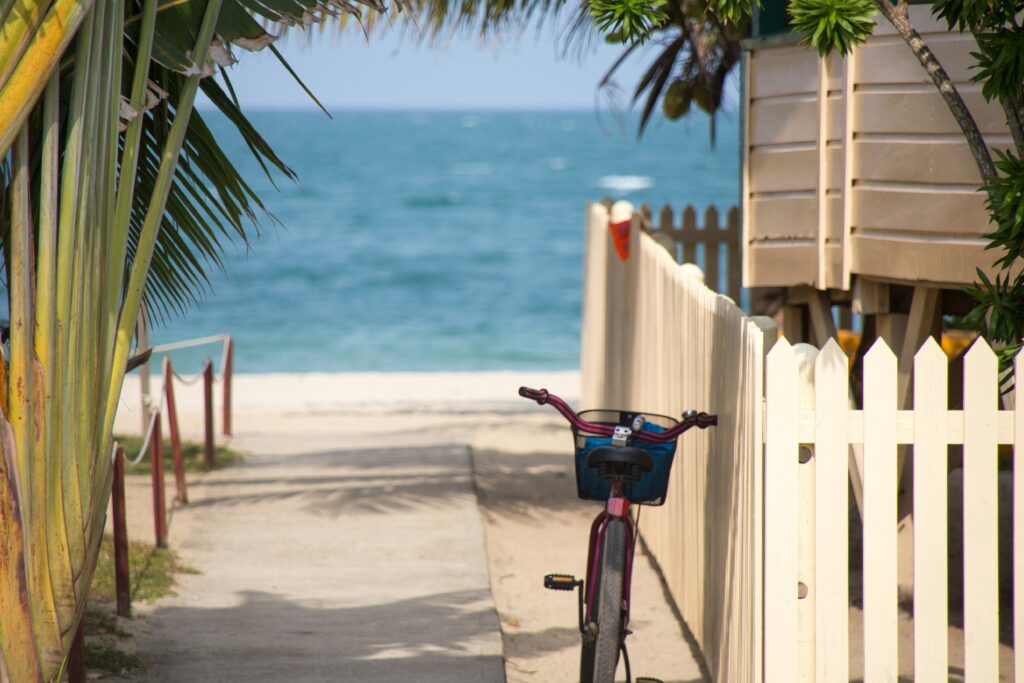 A bicycle leans against a picket fence along a palm-tree lined path that leads to the beach and ocean.