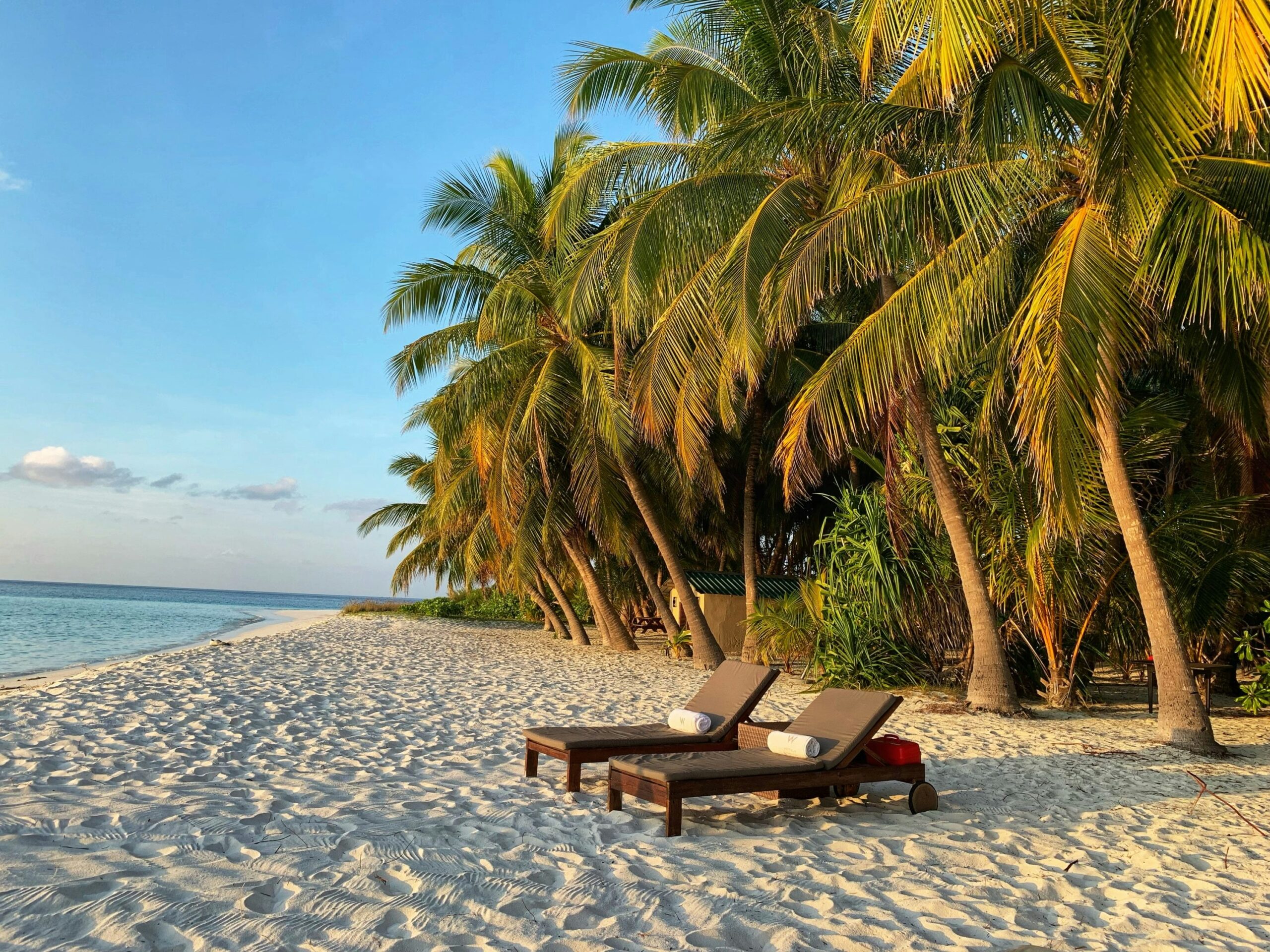 Two lounge chairs with pillows sit on a white sand beach with palm trees behind them and the ocean in front of them.